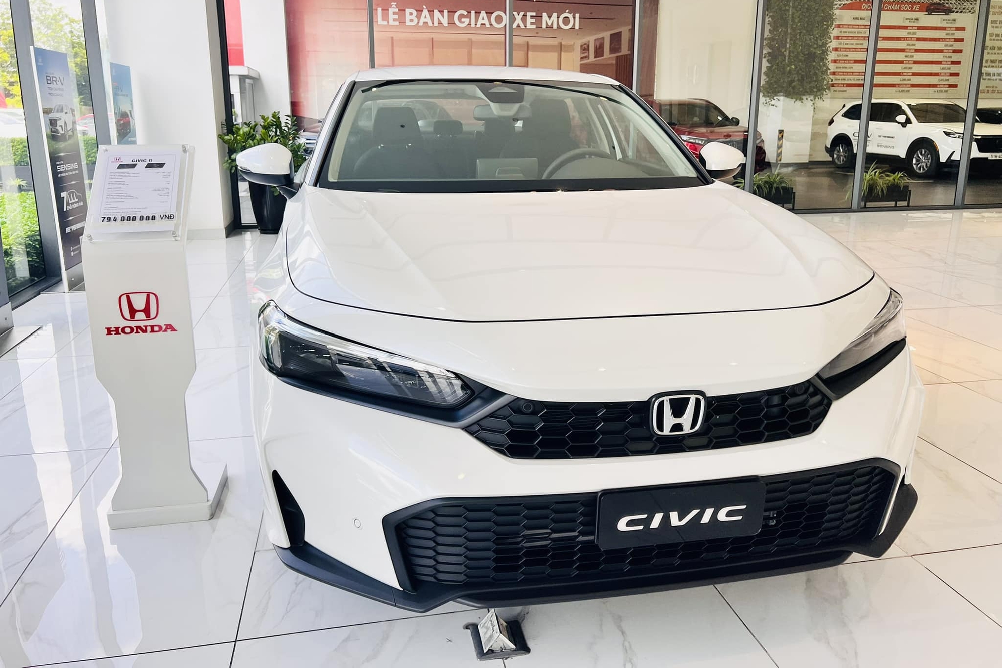 Xe thể thao hấp dẫn giới trẻ