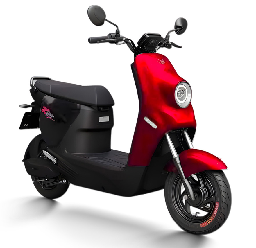 Pin LFP dung lượng 1,2kWh trên ZGoo và Flazz