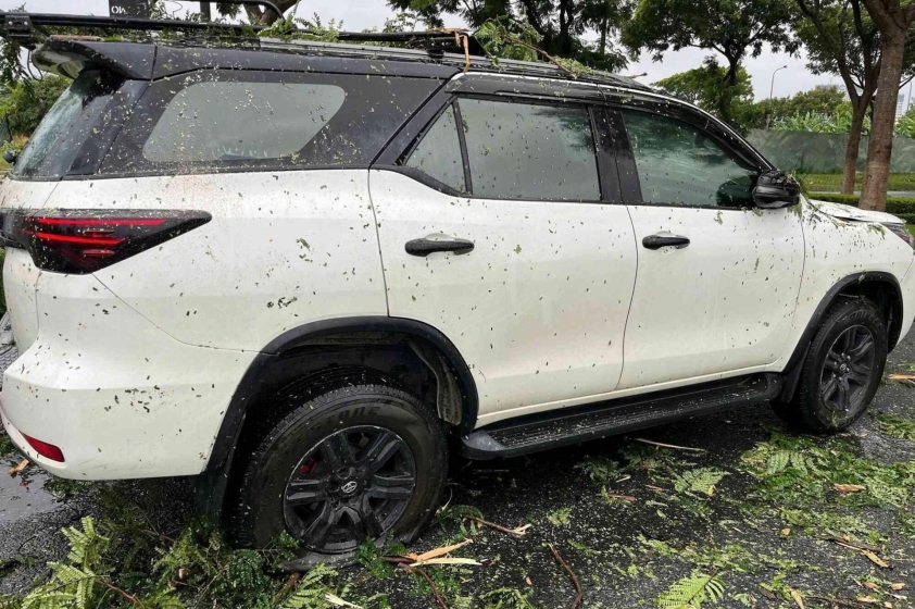 Lá cây và rác mắc kẹt tại khe hút gió ô tô Lá cây và rác gây tắc nghẽn khe hút gió