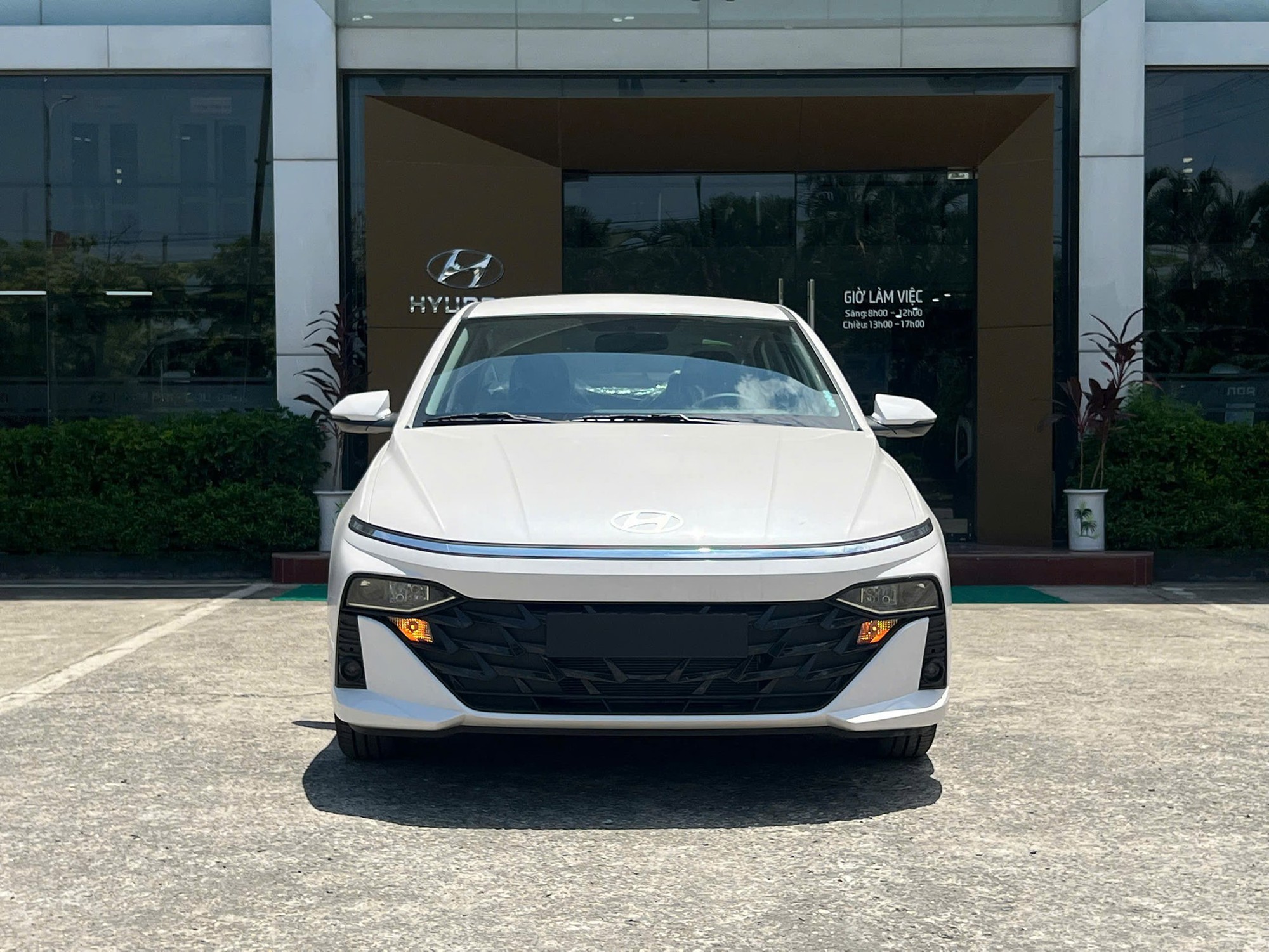 Sedan truyền thống trên đường phố