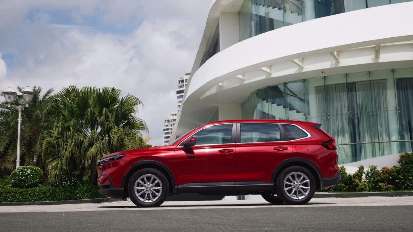 Đánh giá chiến lược sản xuất hybrid tại Việt Nam